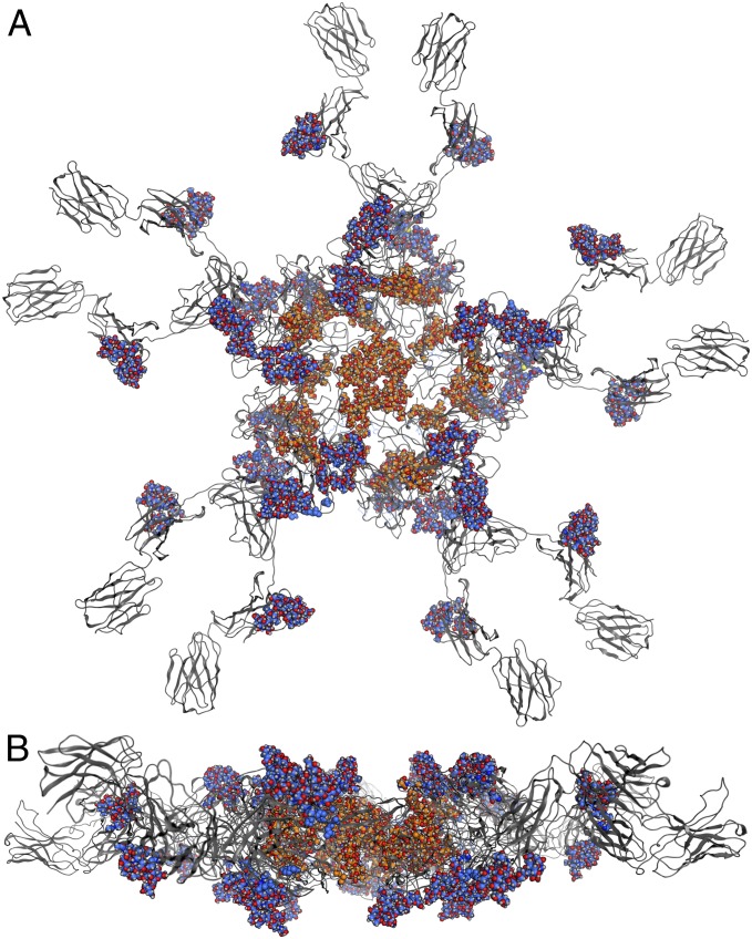 Fig. 6.