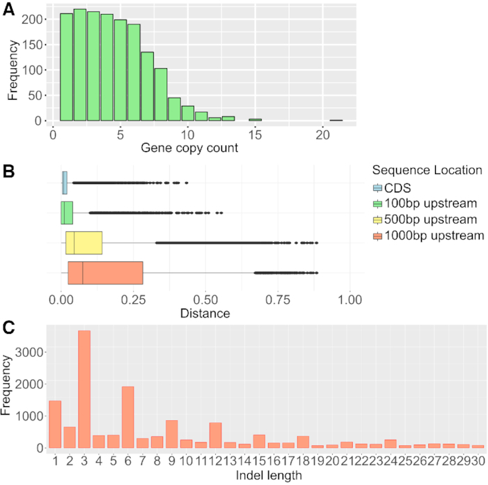 Figure 2: