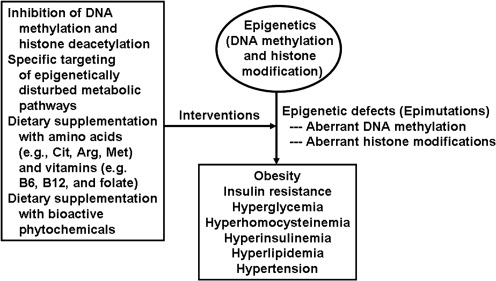 FIG. 8.