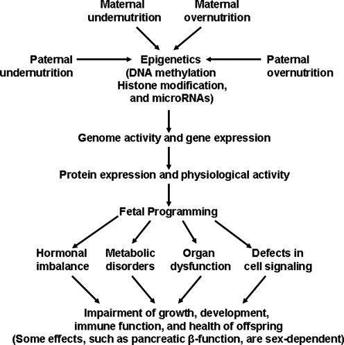 FIG. 1.