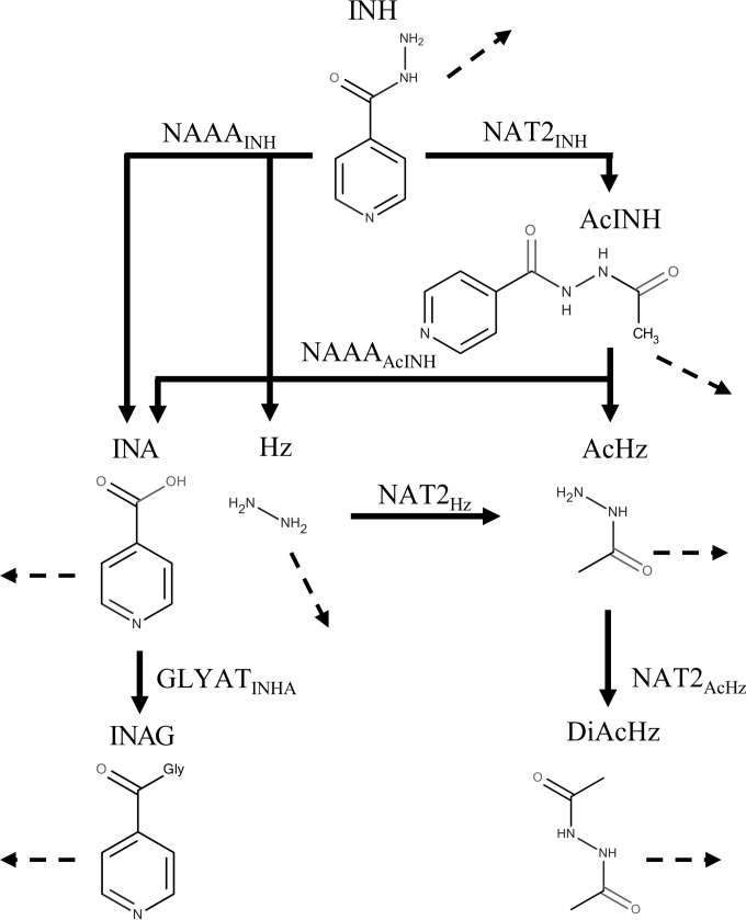 FIG 1