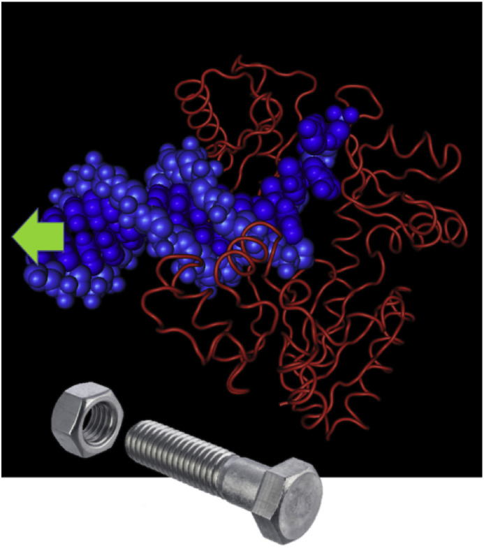 Fig. 1