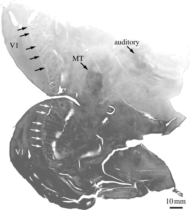 Figure 16