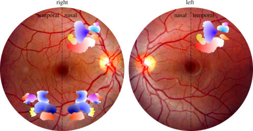 Figure 19