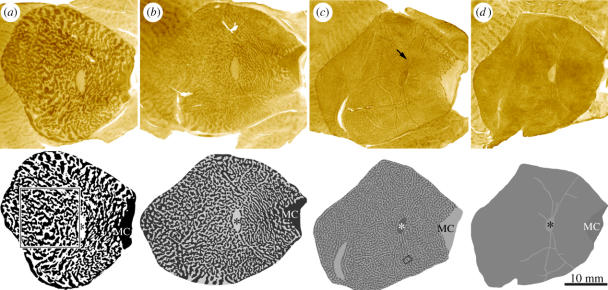 Figure 9