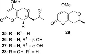 Fig. 21