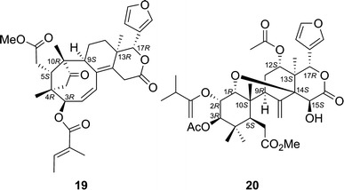 Fig. 16