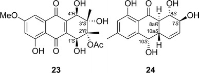 Fig. 20