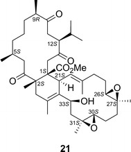 Fig. 18