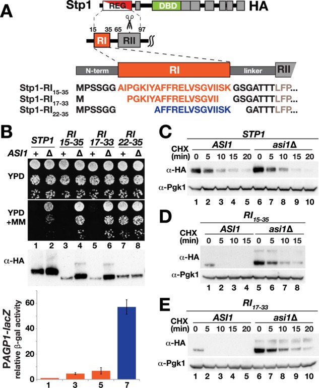 FIGURE 4: