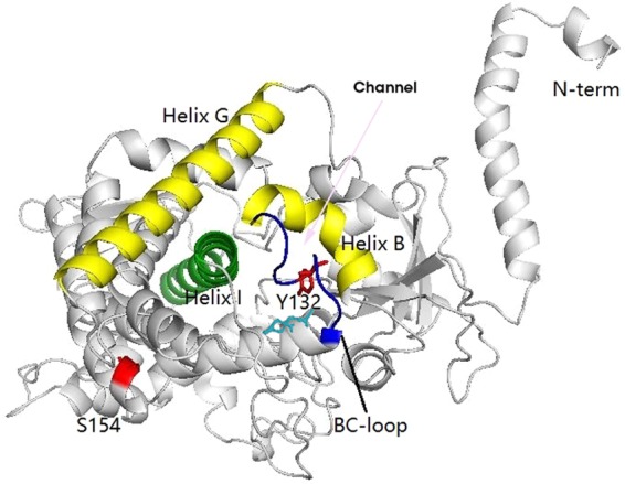 FIG 3