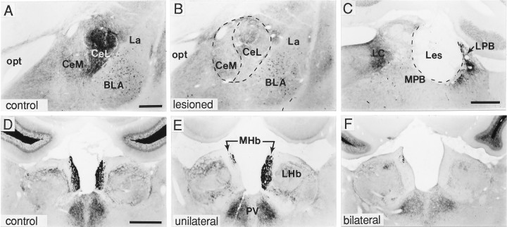 Fig. 9.