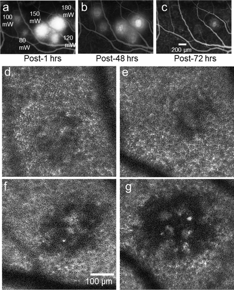 Figure 3.