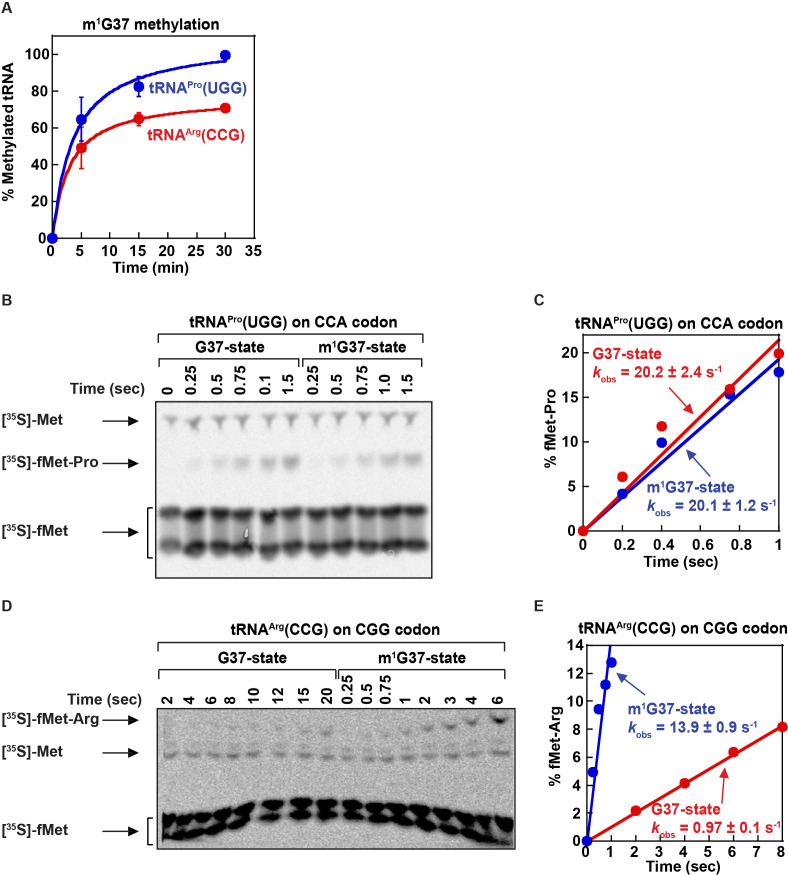 Figure 3—figure supplement 1.