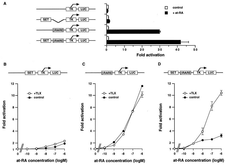 FIG. 6