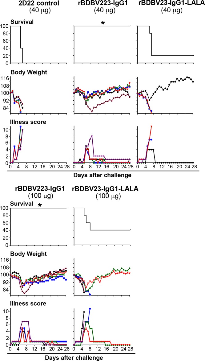 Fig 6