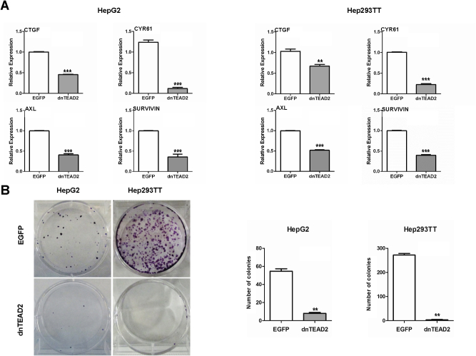 Supplemental Figure S1