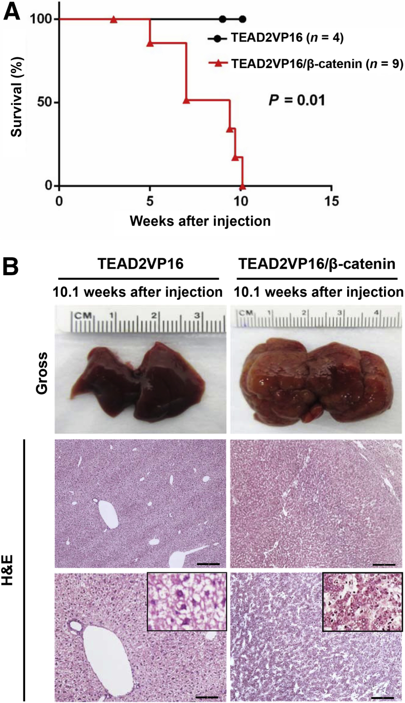 Figure 2