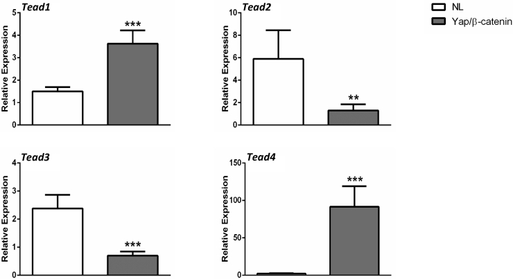 Supplemental Figure S6