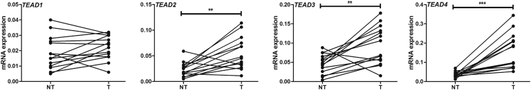 Figure 5