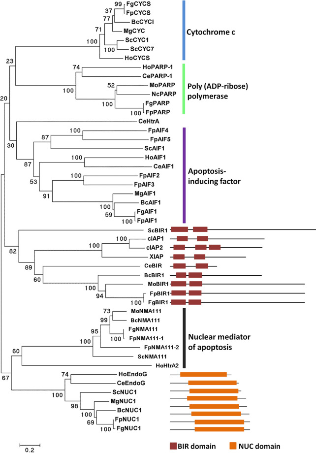 FIG 1