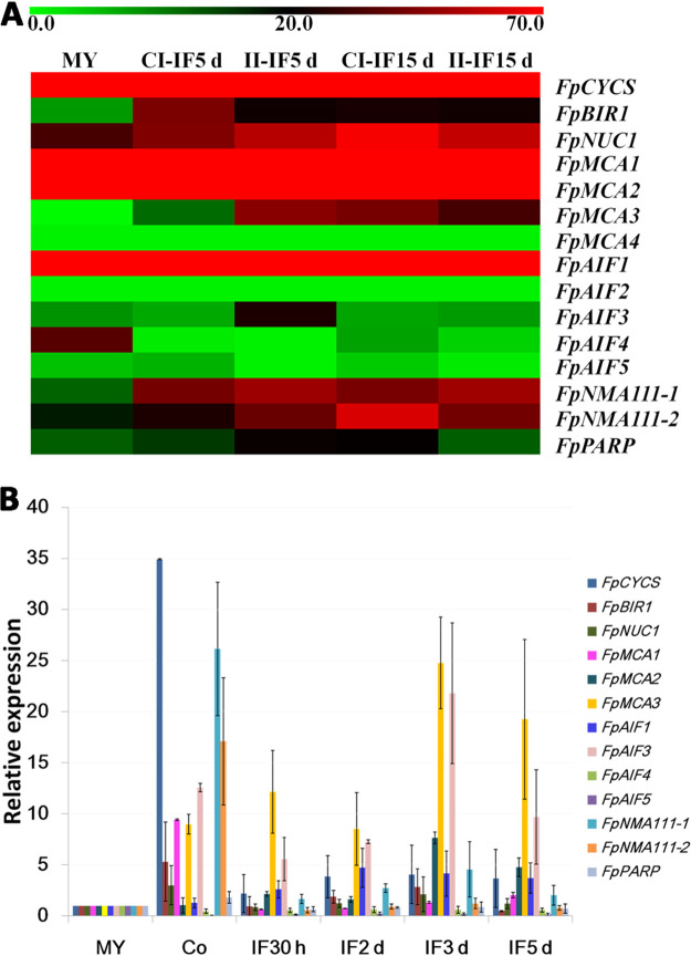 FIG 2