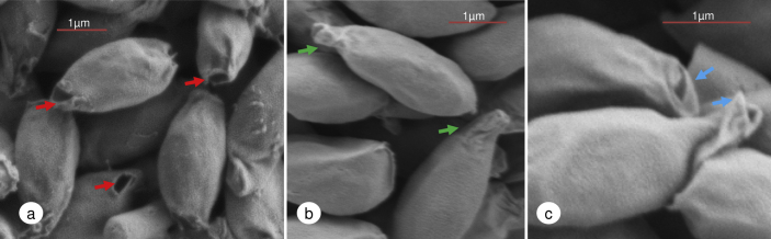 Fig. 2