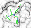 Fig. 12