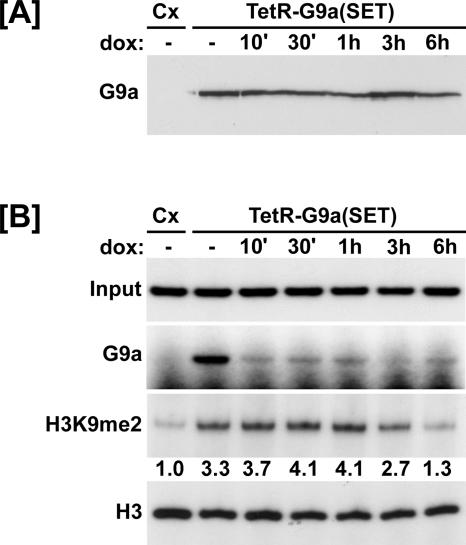 FIG. 8.