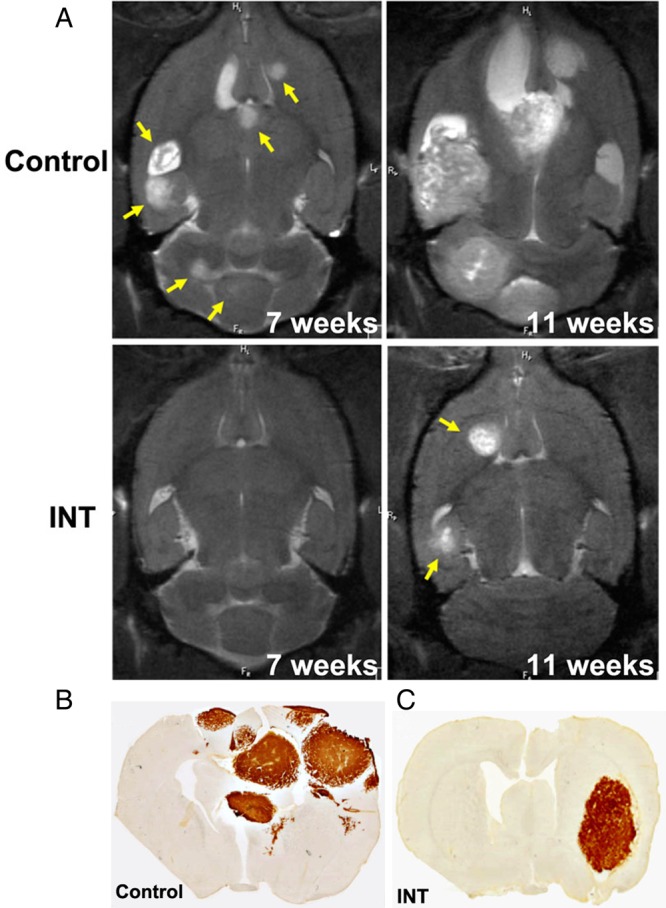 Fig. 4.