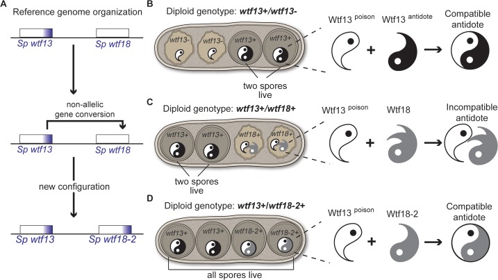 Fig 8