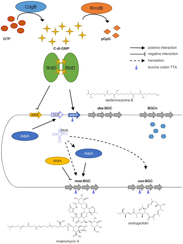 Figure 6.