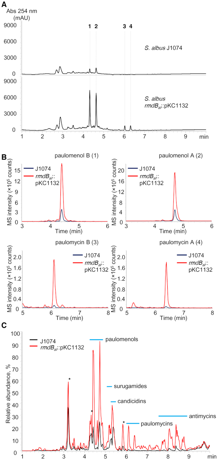 Figure 5.