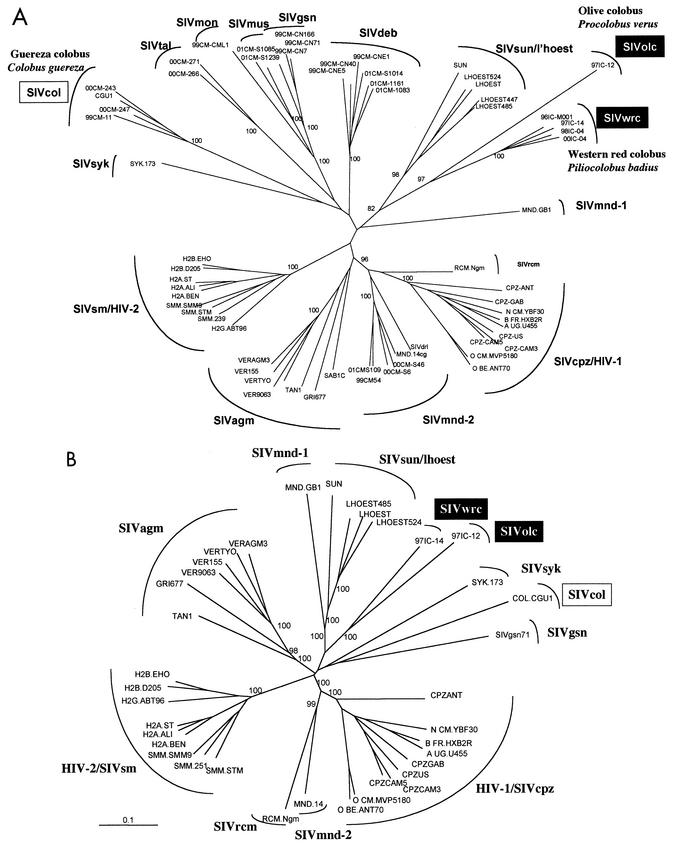 FIG. 2.