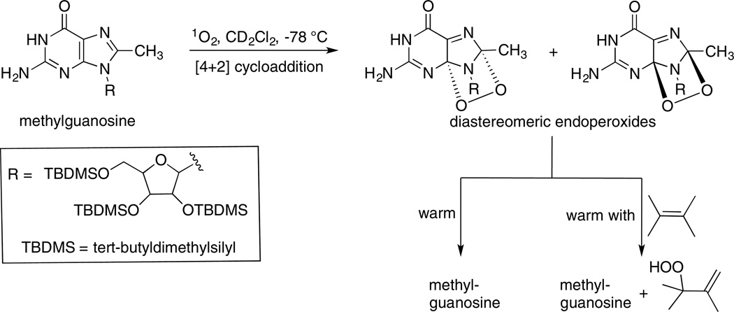 Scheme 6