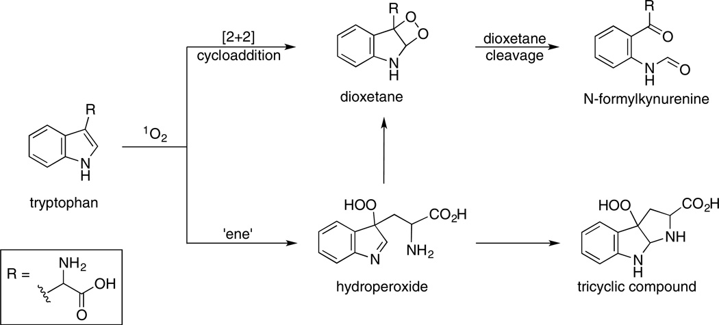 Scheme 7