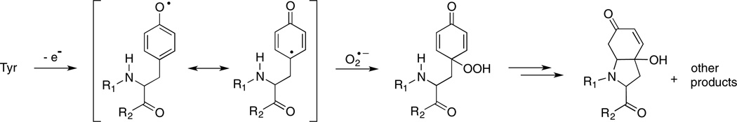 Scheme 4