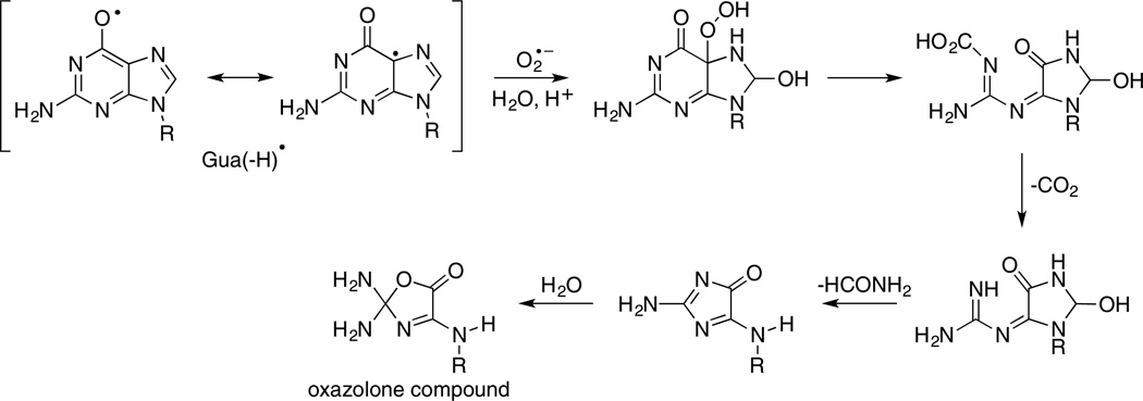 Scheme 5