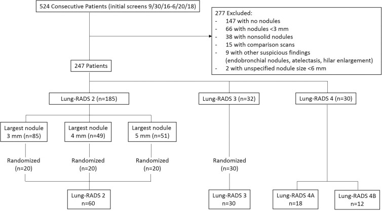 Flowchart shows study sample selection. Lung-RADS = Lung CT Screening Reporting and Data System.