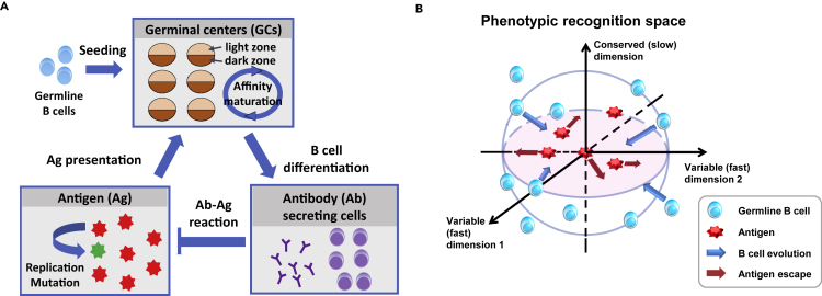 Figure 1