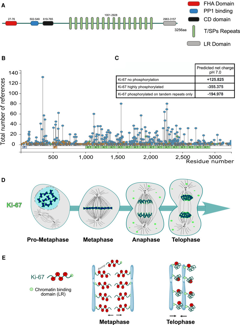 Figure 2.