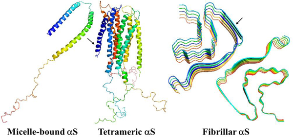 graphic file with name nihms-1834105-f0001.jpg