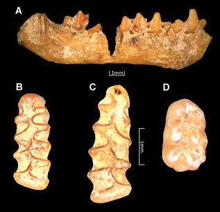 Figure 13