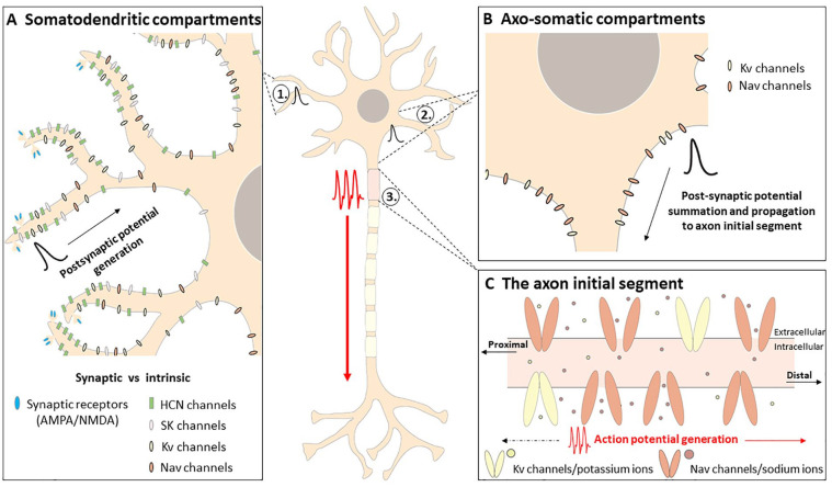 Figure 2.