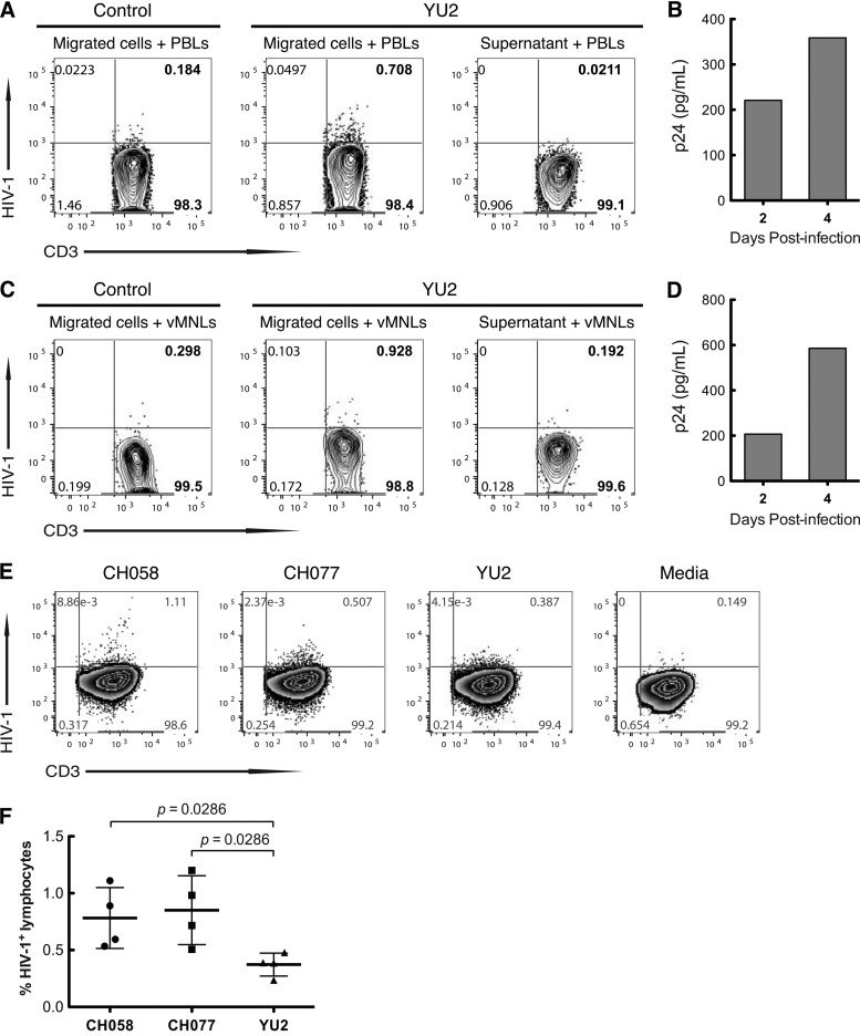 FIG 4