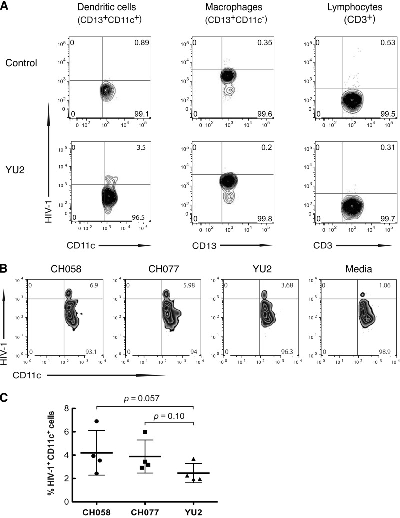 FIG 3