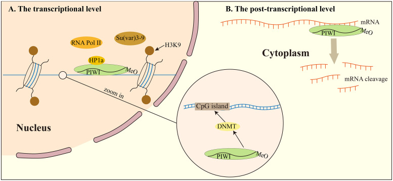 Figure 2