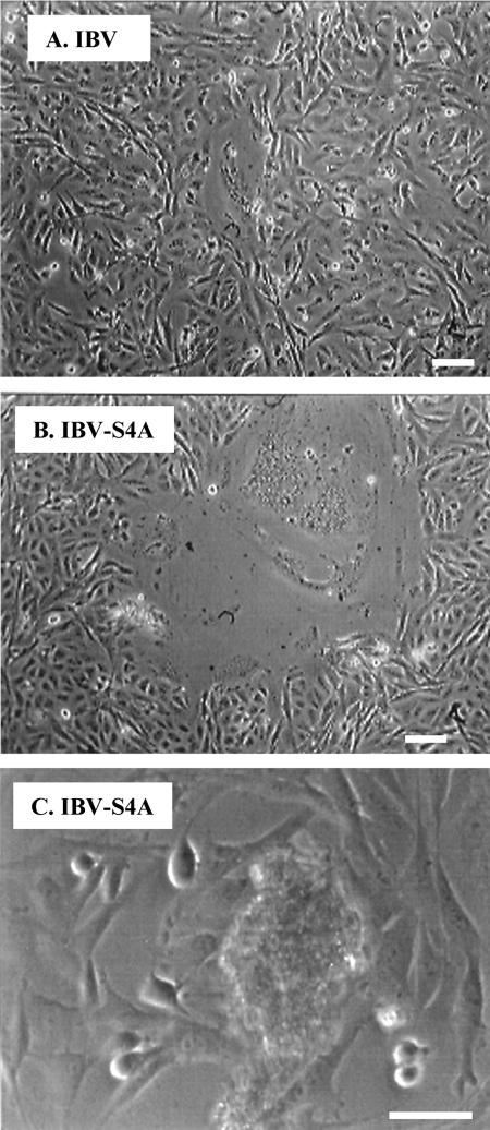 FIG. 7.