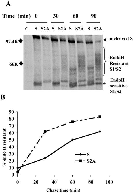 FIG. 5.