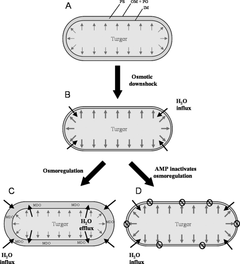 FIG. 6.